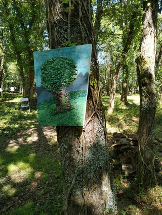 Picture